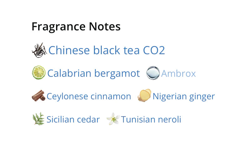 Louis Vuitton Imagination Sample